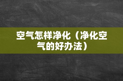 空气怎样净化（净化空气的好办法）
