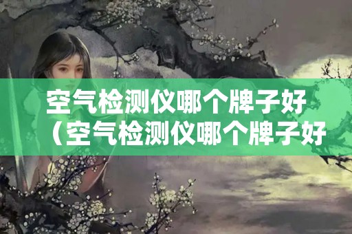 空气检测仪哪个牌子好（空气检测仪哪个牌子好用又准确）