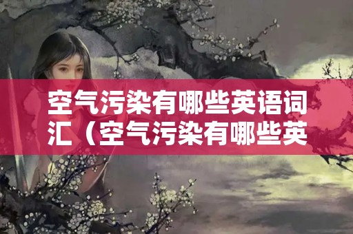 空气污染有哪些英语词汇（空气污染有哪些英语词汇来形容）