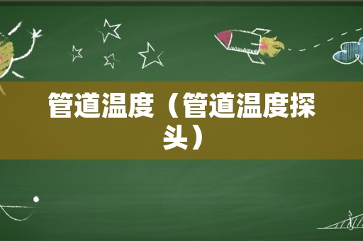 管道温度（管道温度探头）