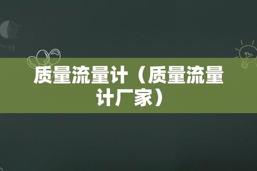 质量流量计（质量流量计厂家）