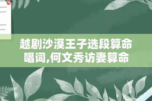 越剧沙漠王子选段算命唱词,何文秀访妻算命
