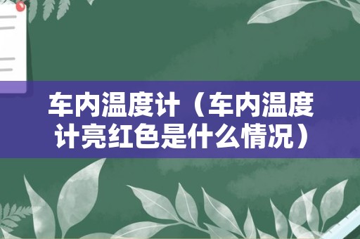车内温度计（车内温度计亮红色是什么情况）