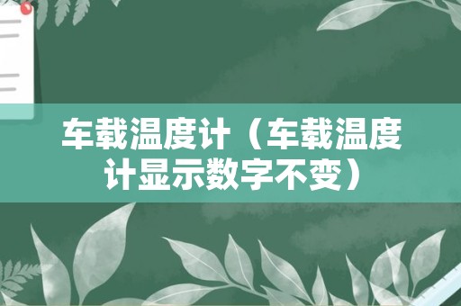 车载温度计（车载温度计显示数字不变）