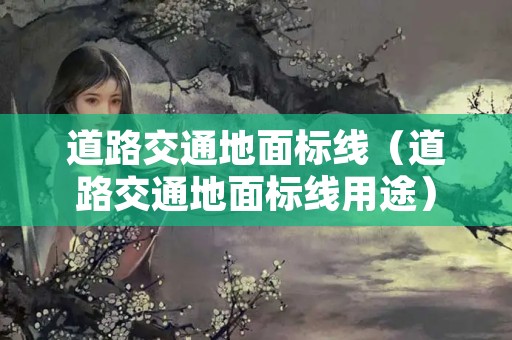 道路交通地面标线（道路交通地面标线用途）