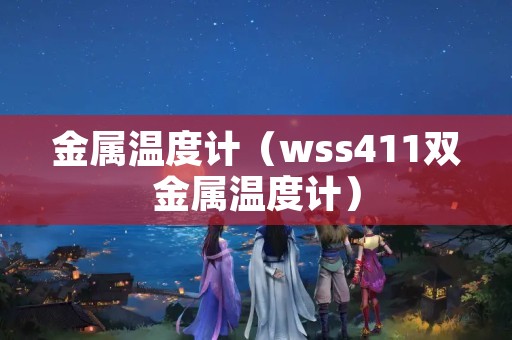 金属温度计（wss411双金属温度计）