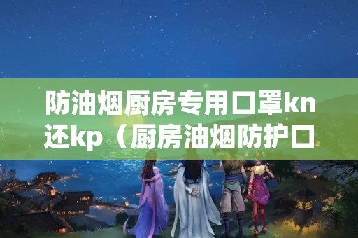 防油烟厨房专用口罩kn还kp（厨房油烟防护口罩）