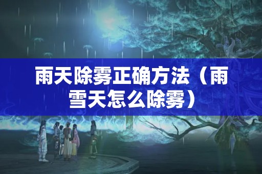 雨天除雾正确方法（雨雪天怎么除雾）