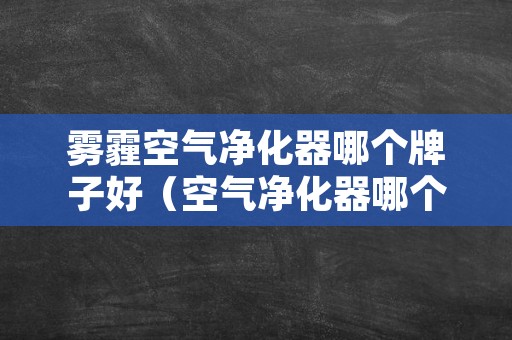 雾霾空气净化器哪个牌子好（空气净化器哪个牌子好啊）