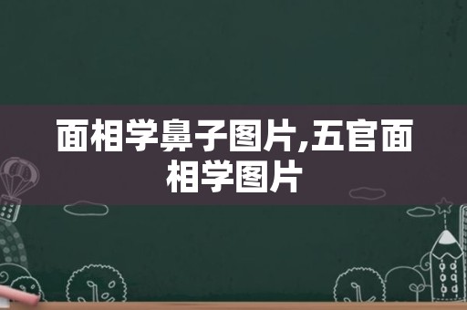 面相学鼻子图片,五官面相学图片