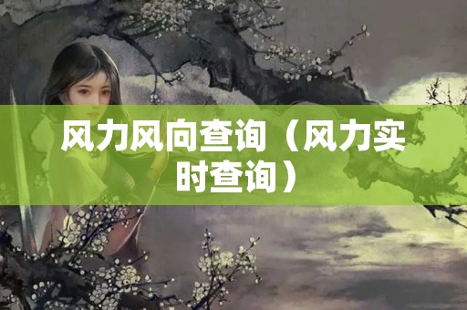 风力风向查询（风力实时查询）