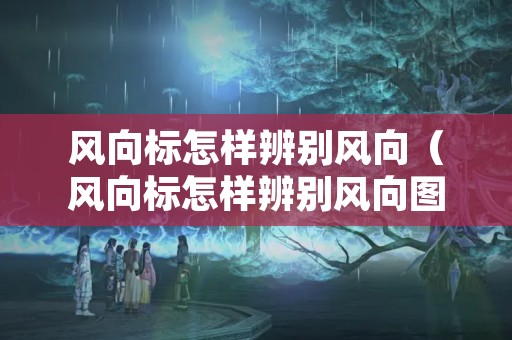 风向标怎样辨别风向（风向标怎样辨别风向图）