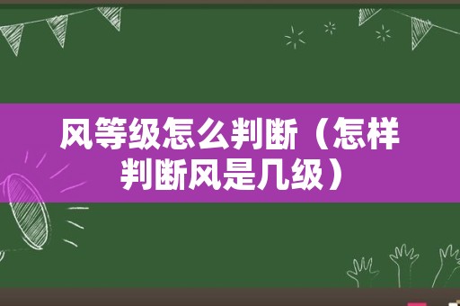 风等级怎么判断（怎样判断风是几级）