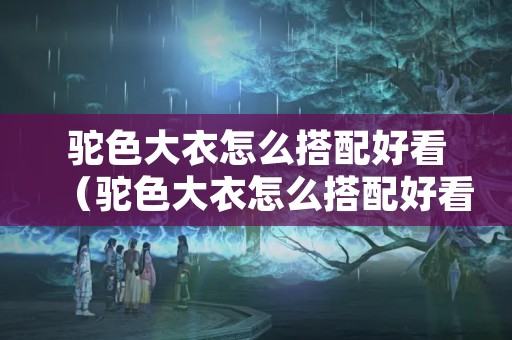 驼色大衣怎么搭配好看（驼色大衣怎么搭配好看男）