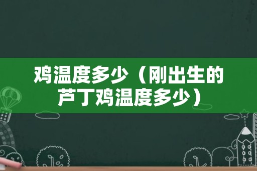 鸡温度多少（刚出生的芦丁鸡温度多少）