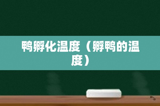 鸭孵化温度（孵鸭的温度）