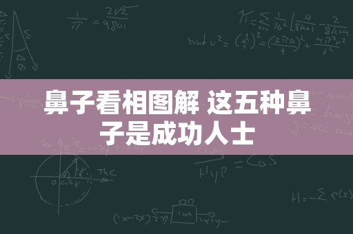 鼻子看相图解 这五种鼻子是成功人士