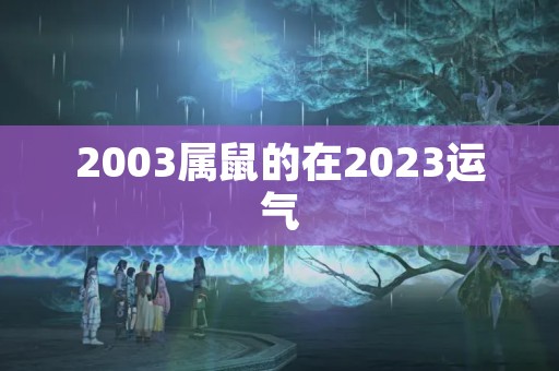 2003属鼠的在2023运气
