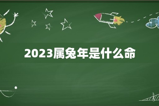 2023属兔年是什么命
