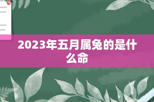 2023年五月属兔的是什么命