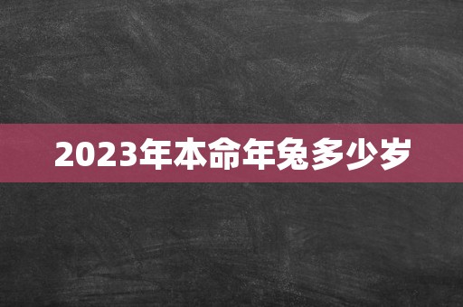 2023年本命年兔多少岁