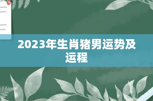 2023年生肖猪男运势及运程