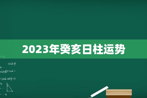 2023年癸亥日柱运势