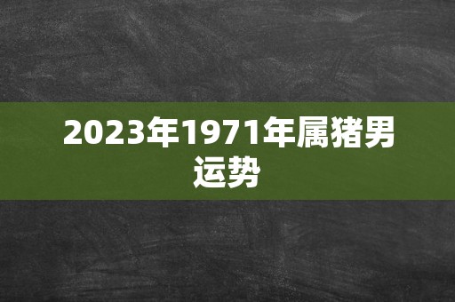 2023年1971年属猪男运势