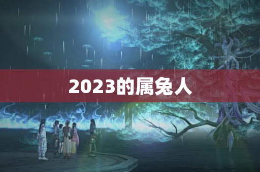 2023的属兔人