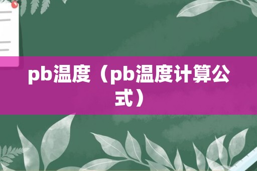 pb温度（pb温度计算公式）